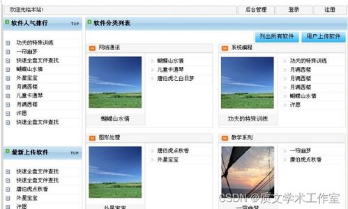 ASP.NET 软件贸易网站的设计与实现